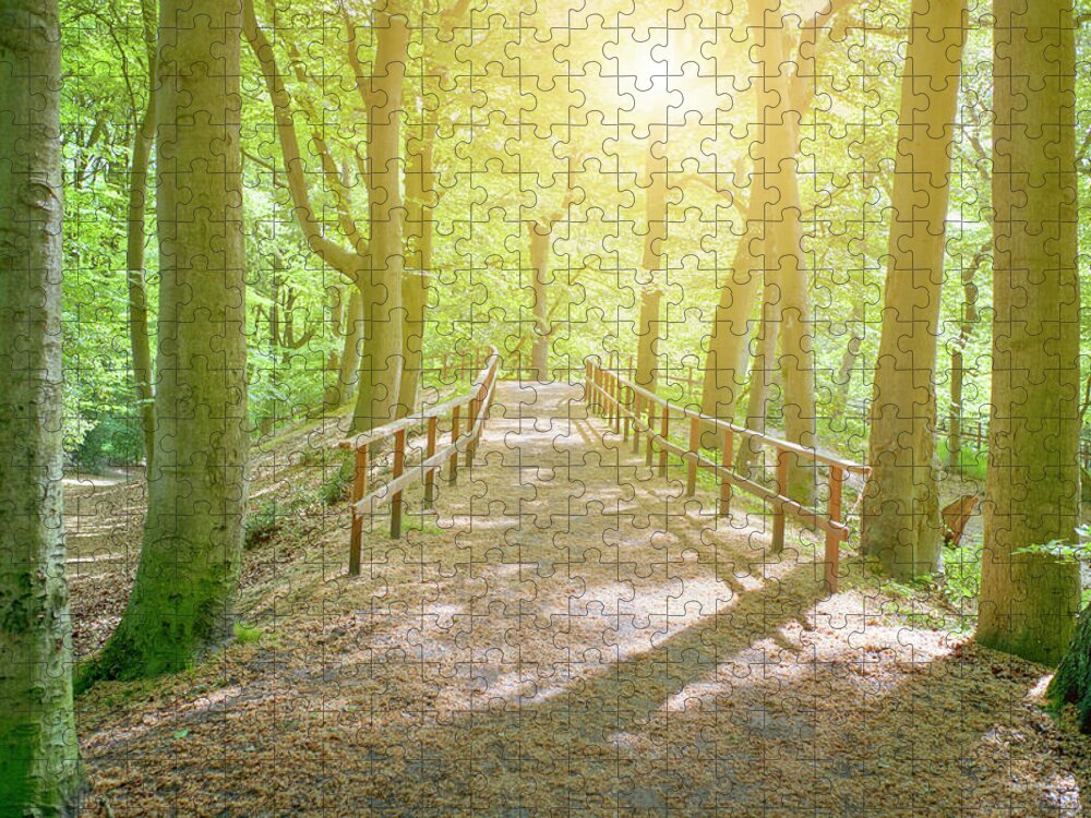 Scenics Jigsaw Puzzle featuring the photograph Dutch Forest With Fenced Footpath And by Cirano83