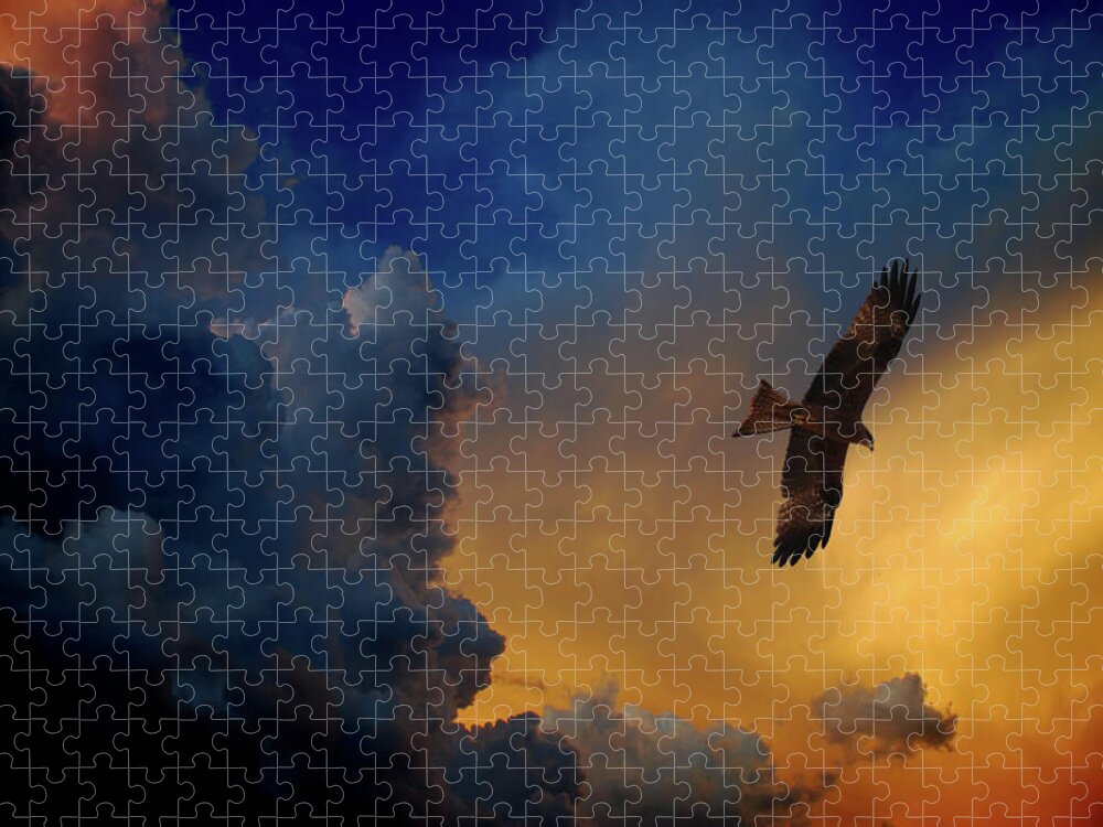 Animal Themes Jigsaw Puzzle featuring the photograph Eagle Over The Top by Gopan G Nair