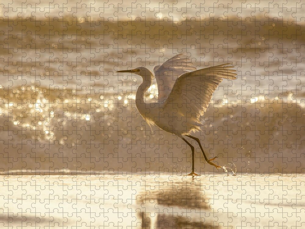 Snowy Egret Jigsaw Puzzle featuring the photograph Egret At The Beach On A Sunny Morning by Steven Sparks