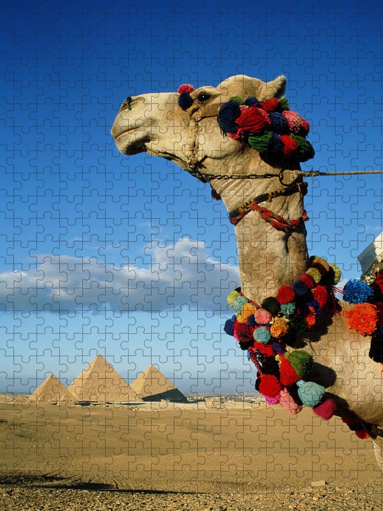 Headwear Jigsaw Puzzle featuring the photograph Egypt, Cairo, Giza, Pyramids Of Giza by Travelpix Ltd