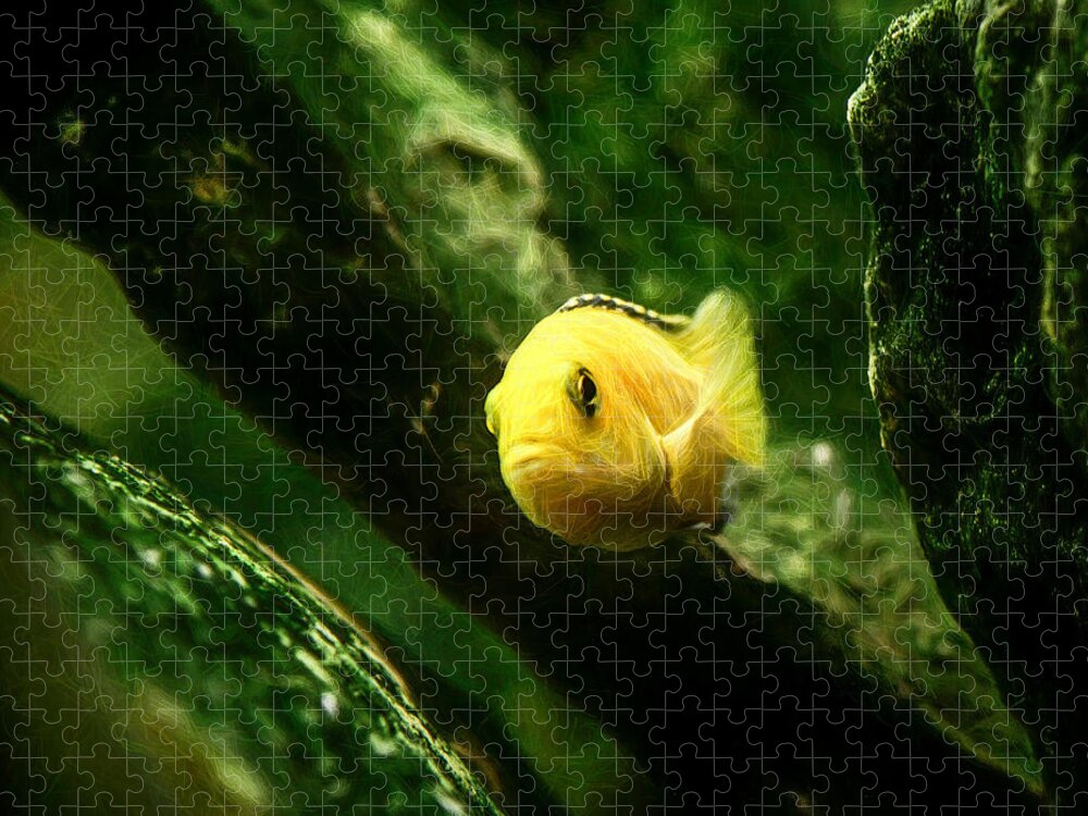 African Cichlid Jigsaw Puzzle featuring the digital art Electric Yellow Cichlid Caves by Don Northup