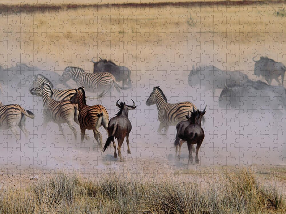Dust Jigsaw Puzzle featuring the photograph Etosha National Park by Marisa López Estivill