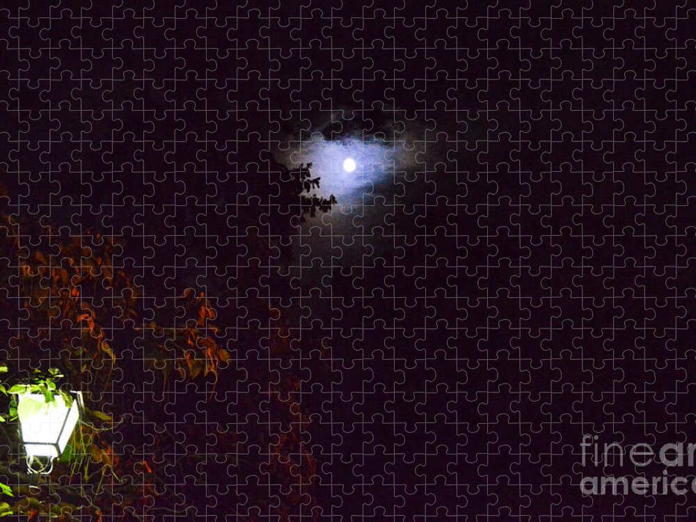 Full Moon Jigsaw Puzzle featuring the photograph Fairy night by Yavor Mihaylov