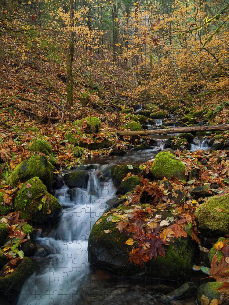 Forests Jigsaw Puzzle featuring the photograph Fall Cascade by Steven Clark