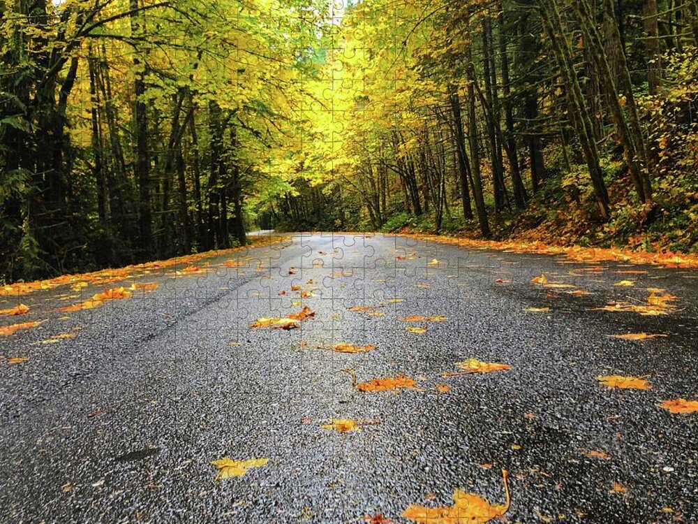The Bright Yellows On The Fall Drive Were Stunning! Jigsaw Puzzle featuring the photograph Fall Drive by Brian Eberly