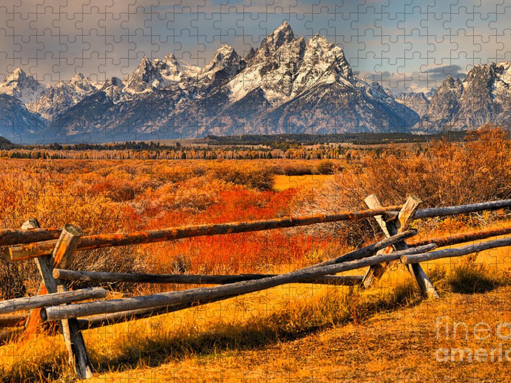 Grand Teton National Park Jigsaw Puzzle featuring the photograph Fall Foliage Over The Fence by Adam Jewell