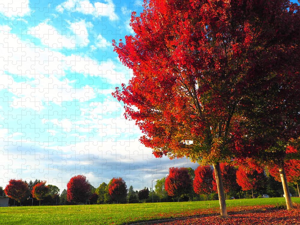 Season Jigsaw Puzzle featuring the photograph Fall Sunset by Richard Thomas