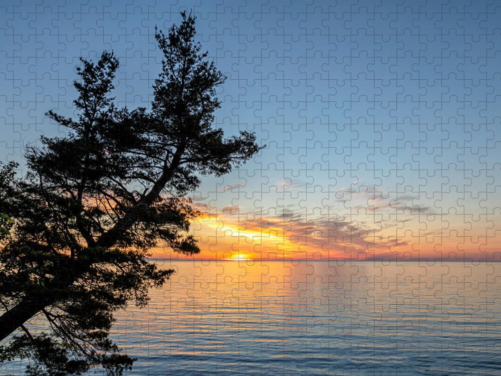 Sunset Jigsaw Puzzle featuring the photograph Fallen Tree by Rod Best
