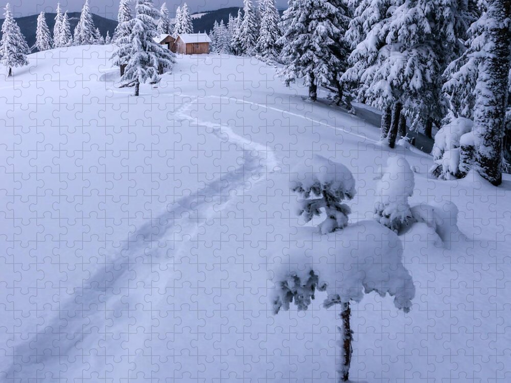 Forest Jigsaw Puzzle featuring the photograph Fantastic Winter Landscape With Snowy by Smit