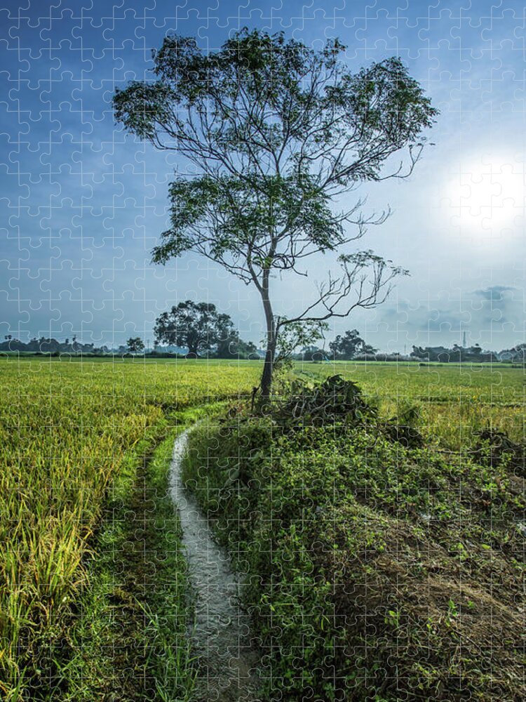 Tranquility Jigsaw Puzzle featuring the photograph Farm Land by Ravickanth