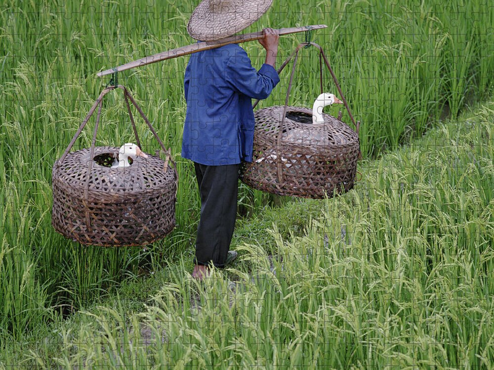 Chinese Culture Jigsaw Puzzle featuring the photograph Farmer Carrying Geese In Baskets by Martin Puddy