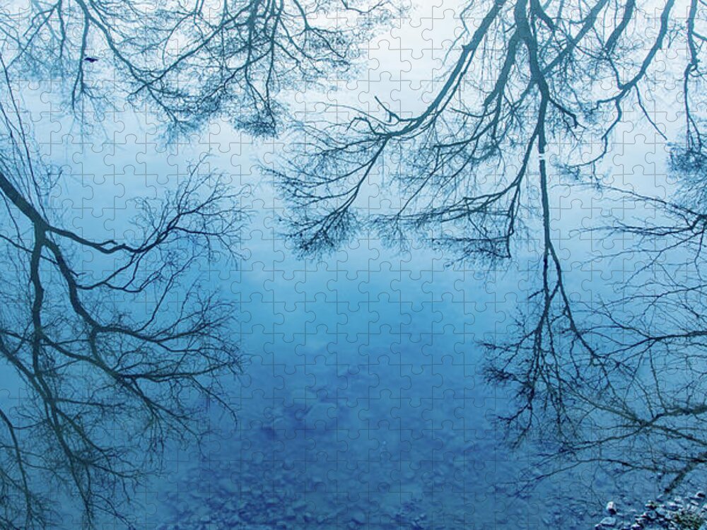 Foggy Jigsaw Puzzle featuring the photograph Feathery Foggy Reflections in Blue by Marcy Wielfaert