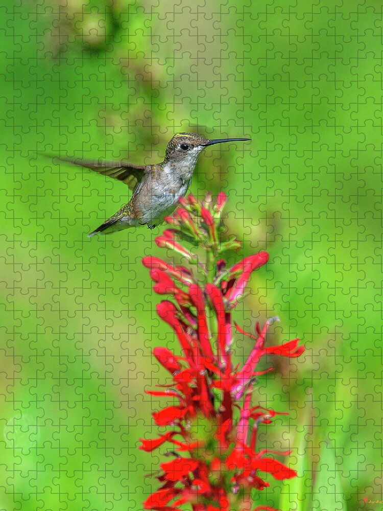 Nature Jigsaw Puzzle featuring the photograph Female Ruby-throated Hummingbird DSB0316 by Gerry Gantt