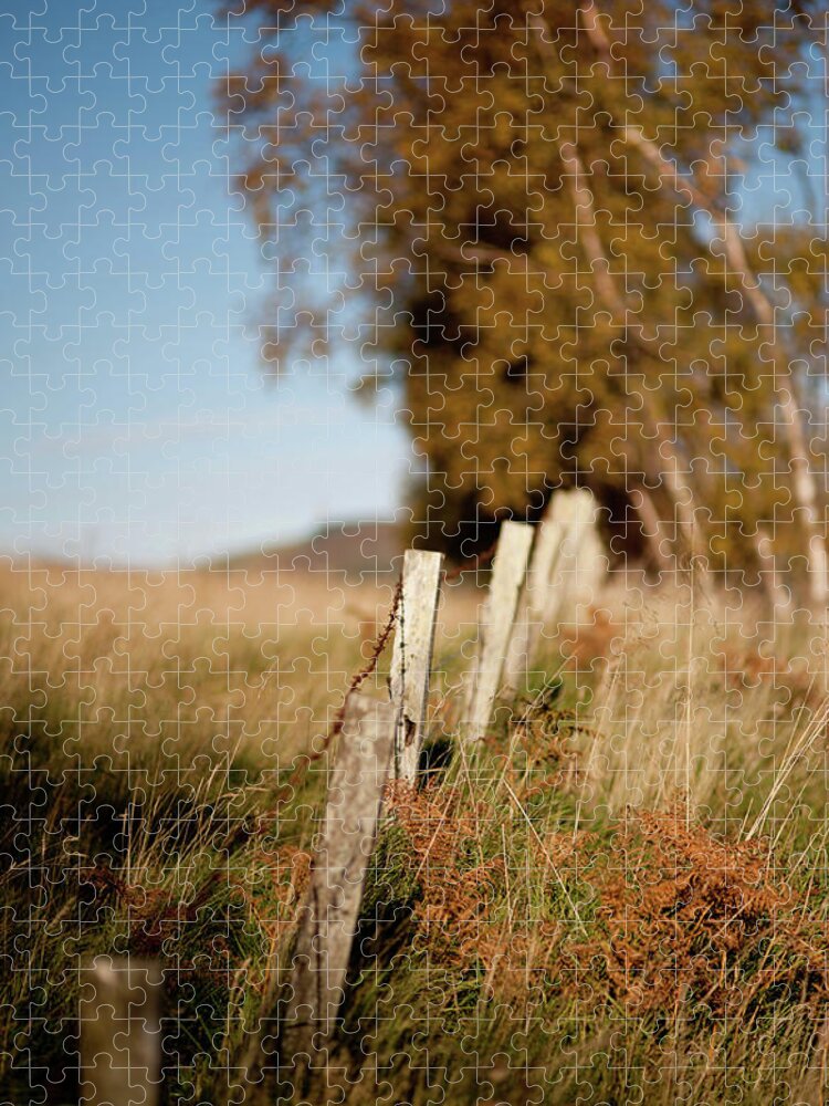 Tranquility Jigsaw Puzzle featuring the photograph Fence Viewed From Southern Upland Way by Iain Maclean