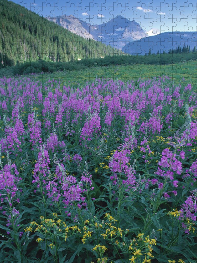 Scenics Jigsaw Puzzle featuring the photograph Fireweed & Groundsel, Glacier National by Art Wolfe