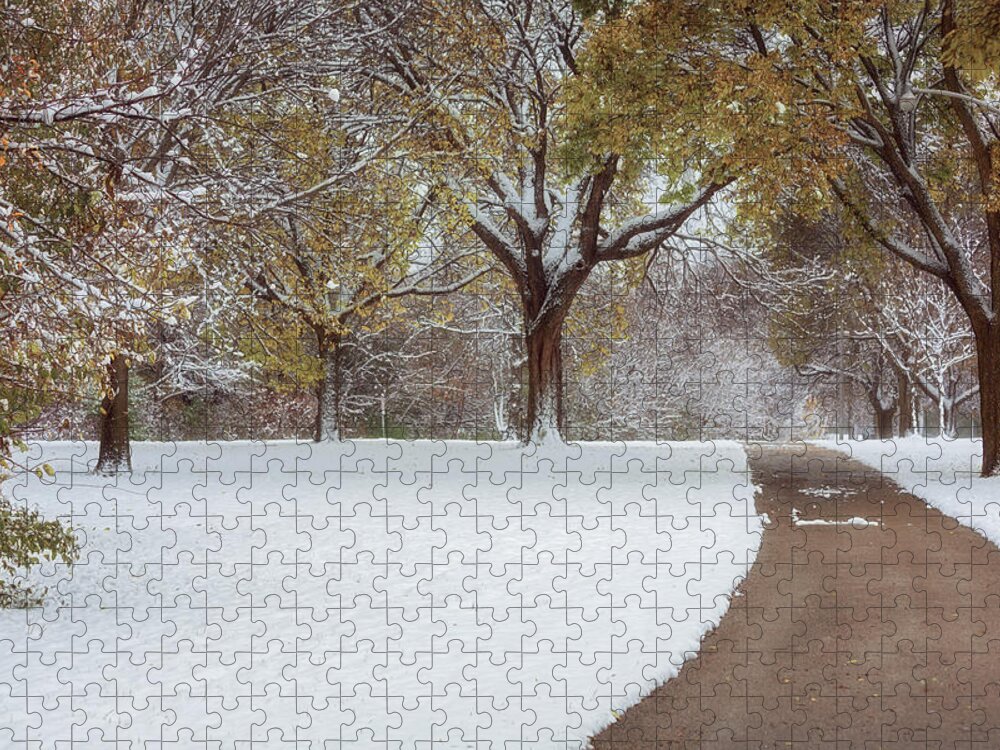 Snow Jigsaw Puzzle featuring the photograph First Snow Day by Kim Hojnacki