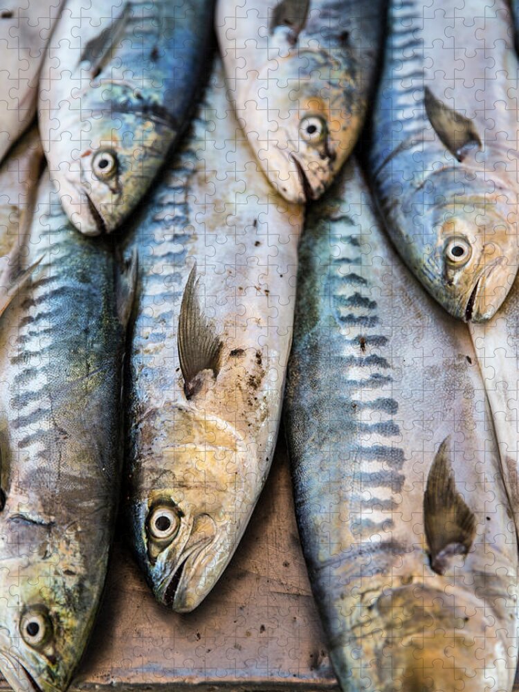 Agadir Puzzle featuring the photograph Fish In Market, Taghazout, Morocco by Tim E White