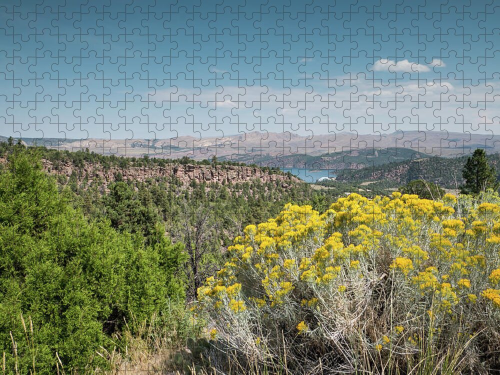 Flaming Gorge Jigsaw Puzzle featuring the photograph Flaming Gorge Chamisa by Patricia Gould