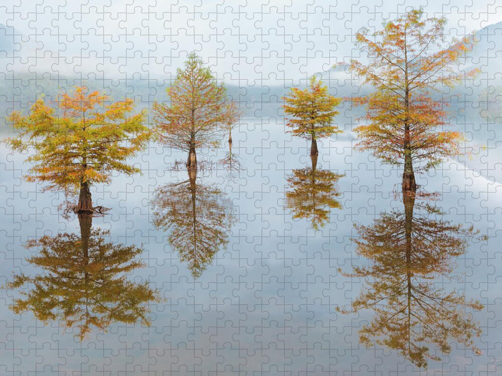 Carolina Jigsaw Puzzle featuring the photograph Floating Into Fall by Debra and Dave Vanderlaan