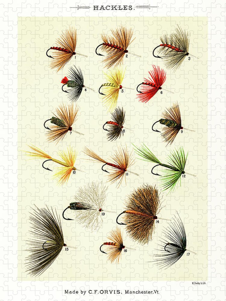 David Letts Jigsaw Puzzle featuring the drawing Fly Fishing Lures 1 by David Letts