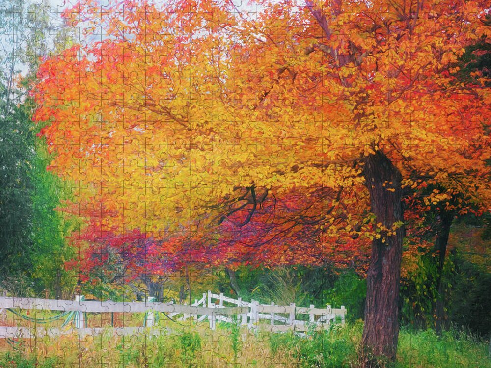Fall Foliage Jigsaw Puzzle featuring the photograph Foliage by the Farm by Anita Pollak