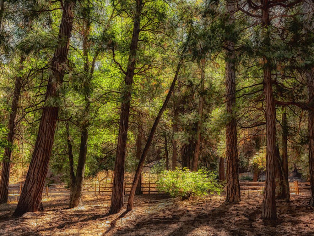 Pines Jigsaw Puzzle featuring the photograph Forest Light II by Alison Frank