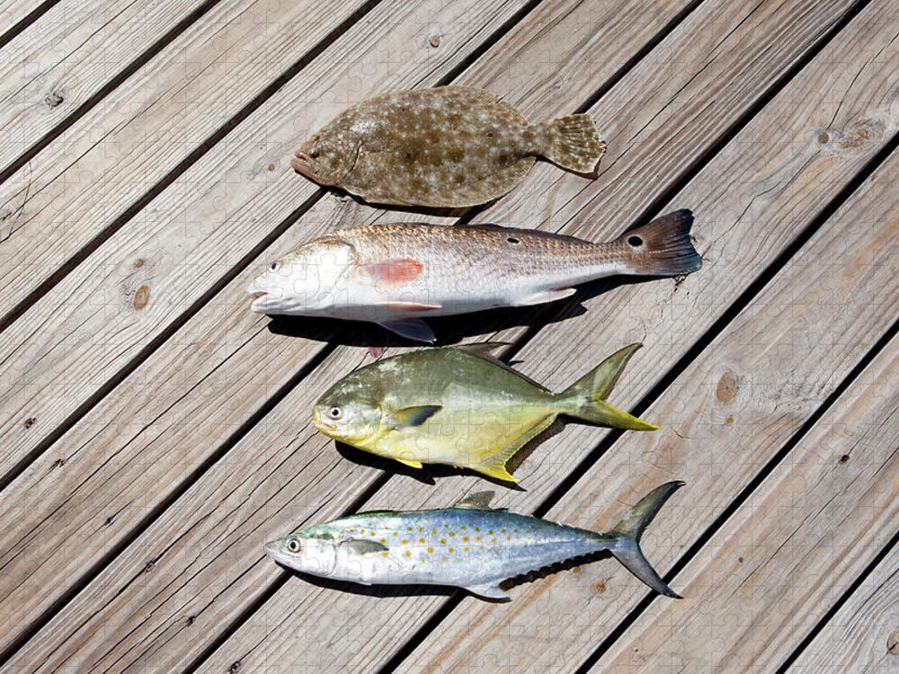 In A Row Jigsaw Puzzle featuring the photograph Four Caught Fish by Sean Murphy