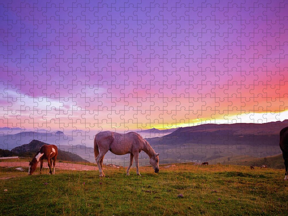 Horse Jigsaw Puzzle featuring the photograph Four Horses Grazing On The Grass At by Moreiso