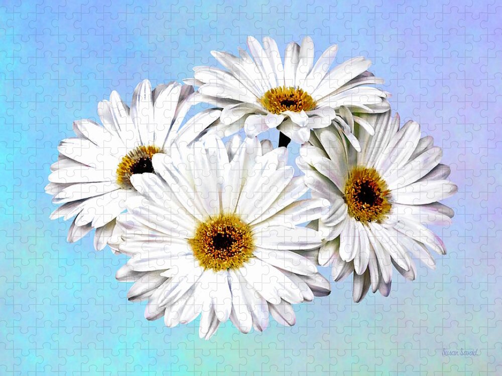 Daisy Jigsaw Puzzle featuring the photograph Four White Daisies by Susan Savad