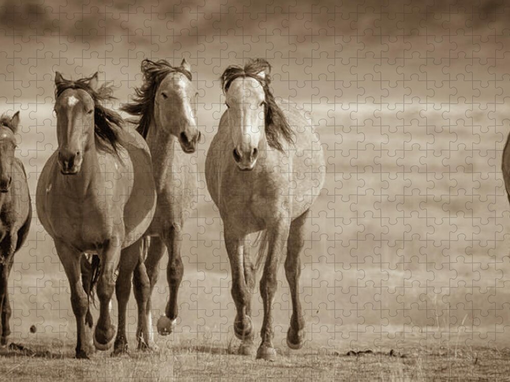 Wild Horses Jigsaw Puzzle featuring the photograph Free family 2 by Mary Hone