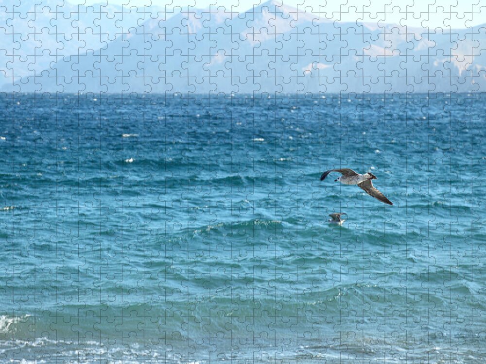 Water's Edge Jigsaw Puzzle featuring the photograph Freedom by Vuk8691