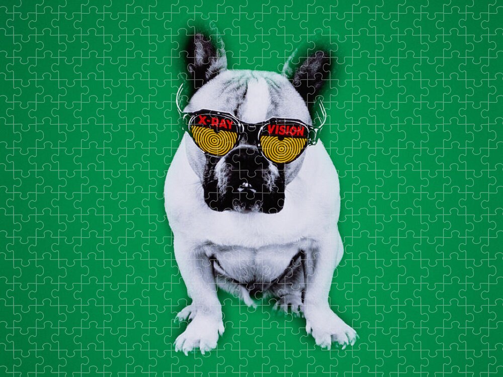 Pets Jigsaw Puzzle featuring the photograph French Bulldog With X-ray Vision Glasses by David Waldorf