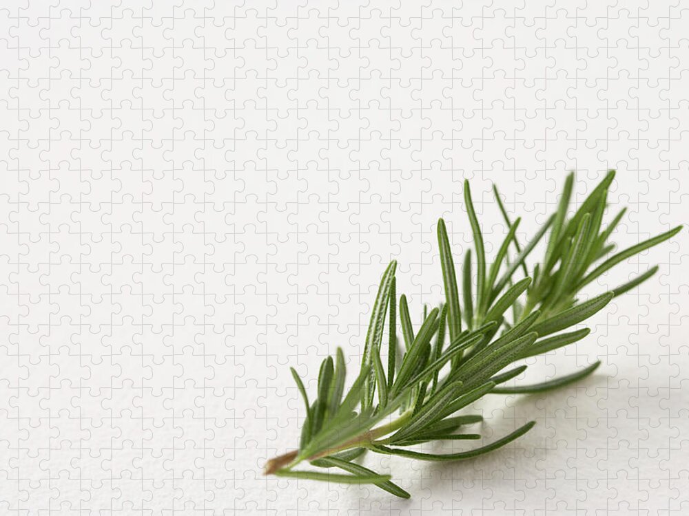 White Background Jigsaw Puzzle featuring the photograph Fresh Rosemary by Lew Robertson, Brand X Pictures