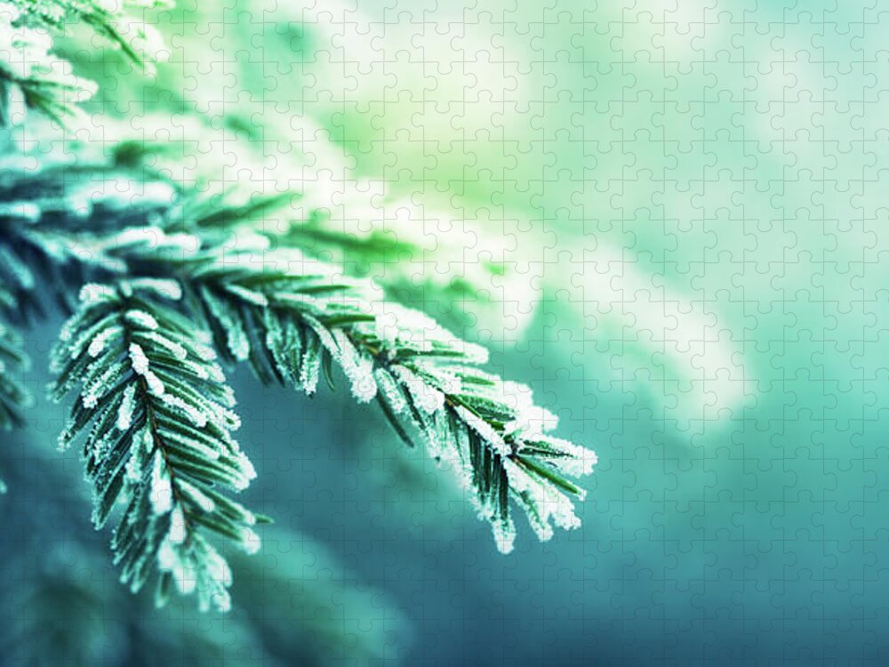Needle Jigsaw Puzzle featuring the photograph Frost-covered Spruce Tree Branch by Magdasmith
