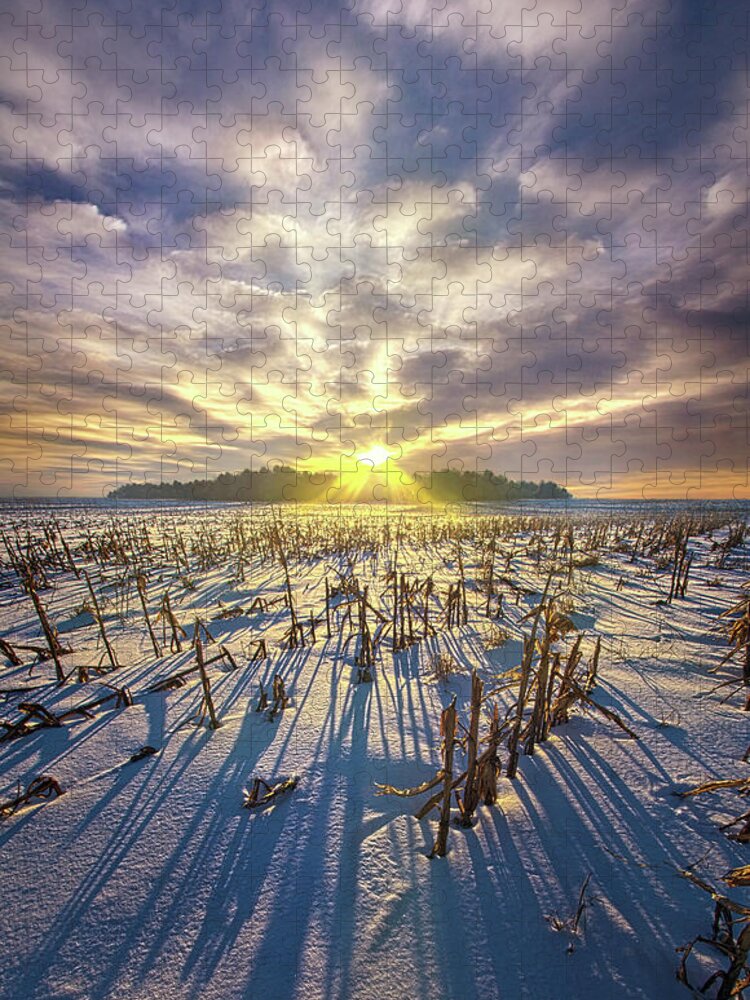 Life Jigsaw Puzzle featuring the photograph Frozen Moments by Phil Koch