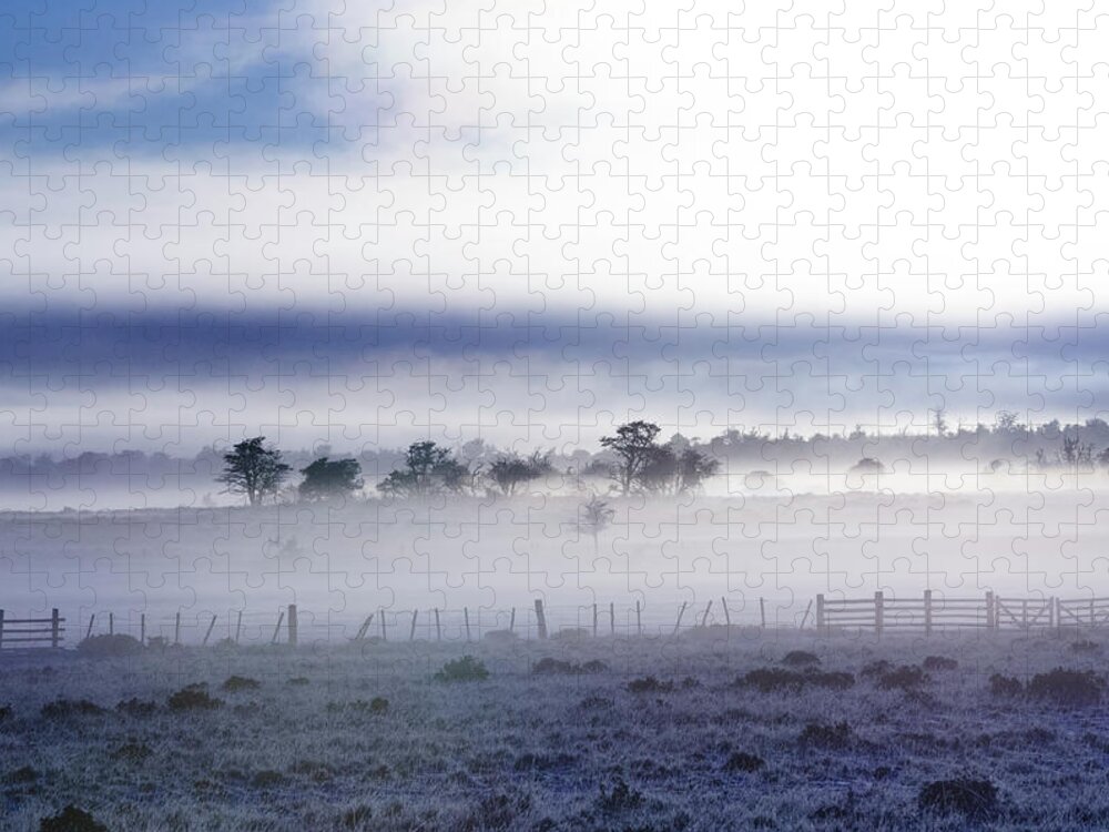 Scenics Jigsaw Puzzle featuring the photograph Frozen Morning by Swl Fotografía, Www.swl.cl