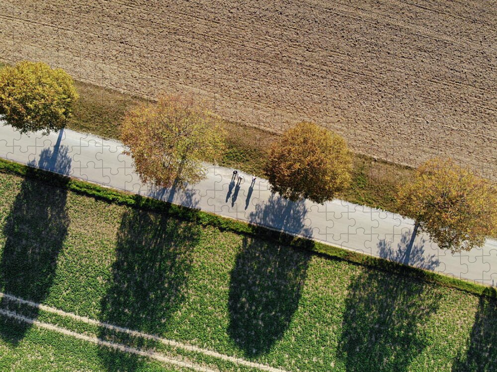 Trees Jigsaw Puzzle featuring the photograph Geometric Landscape 10 Trees and shadows aerial view by Matthias Hauser