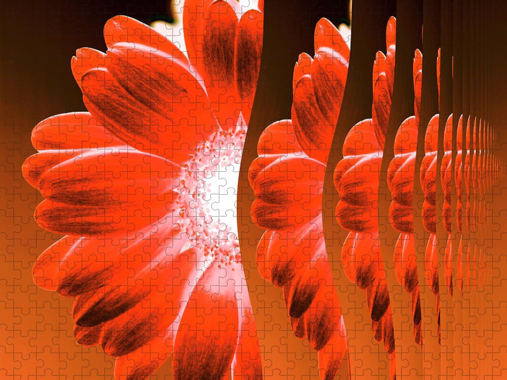 Orange Color Jigsaw Puzzle featuring the digital art Gerbera Flower Vertical Slivers by Eversofine