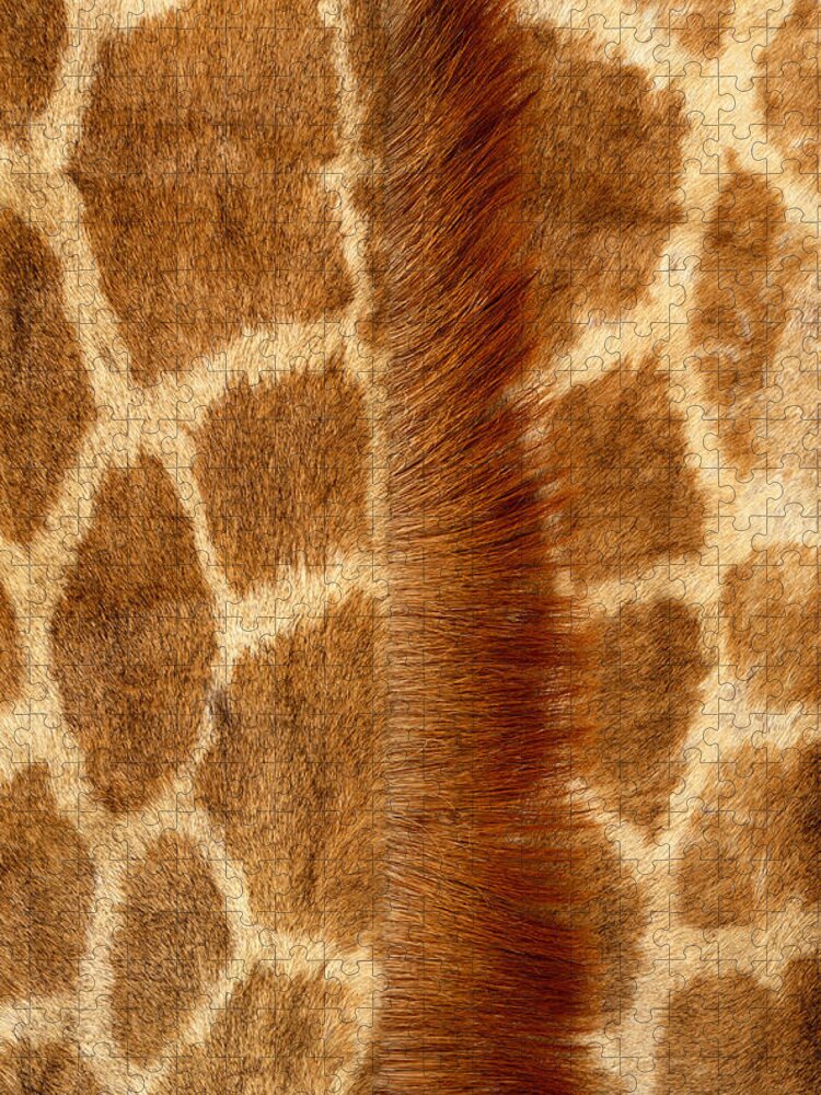 Animal Themes Jigsaw Puzzle featuring the photograph Giraffe Fur by Siede Preis