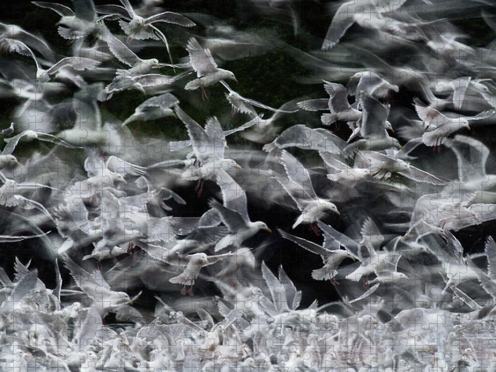 Blurred Motion Jigsaw Puzzle featuring the photograph Glaucous-winged Gulls by Eastcott Momatiuk