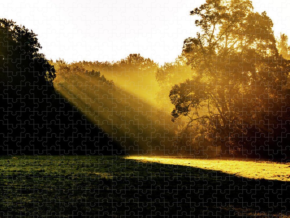 Sunrise Jigsaw Puzzle featuring the photograph Golden autumn morning by Sun Travels