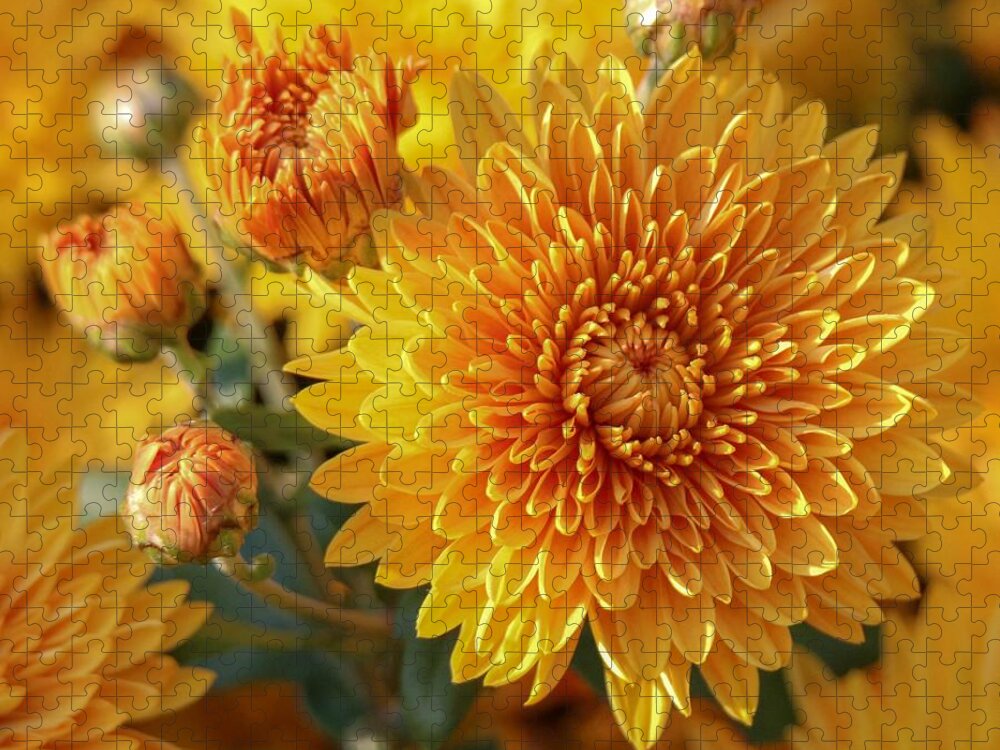 Flower Jigsaw Puzzle featuring the photograph Golden Mums by Susan Rydberg