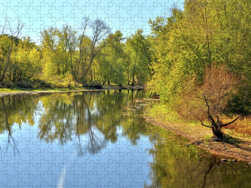 Autumn Jigsaw Puzzle featuring the photograph Golden Trees on Concord River by Luke Moore