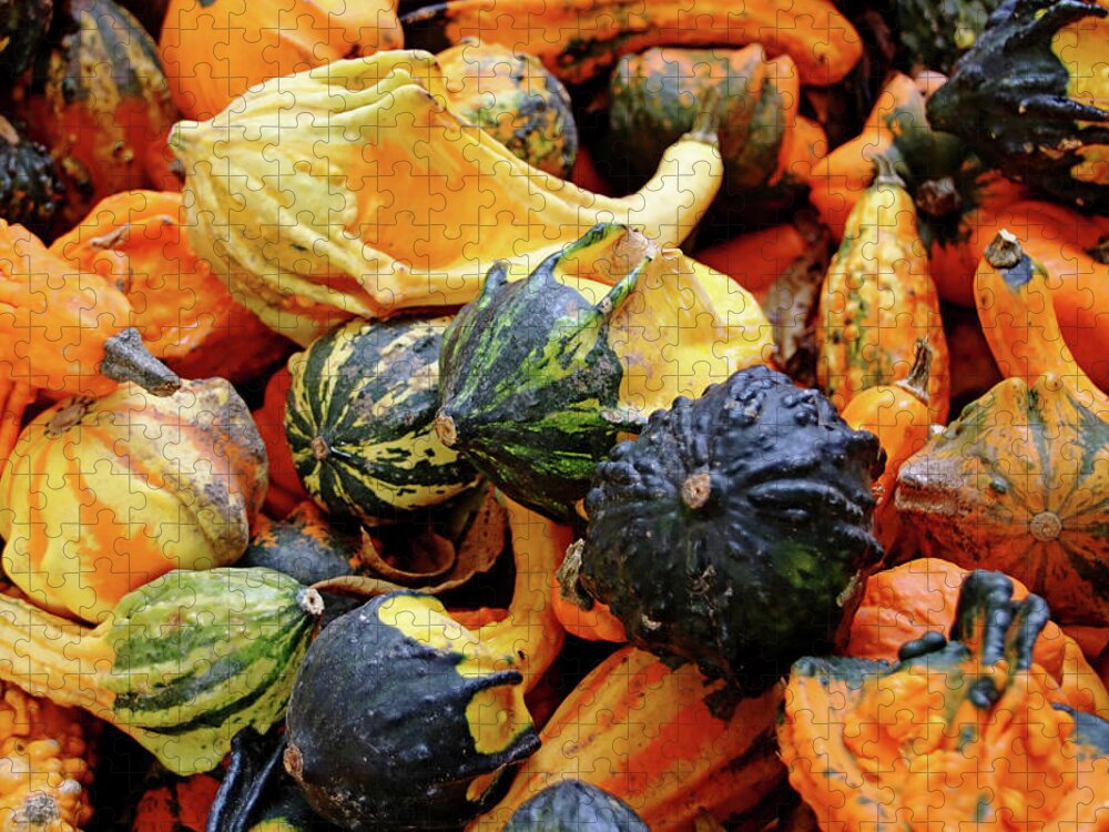 Gourds Jigsaw Puzzle featuring the photograph Gourds by Debbie Oppermann