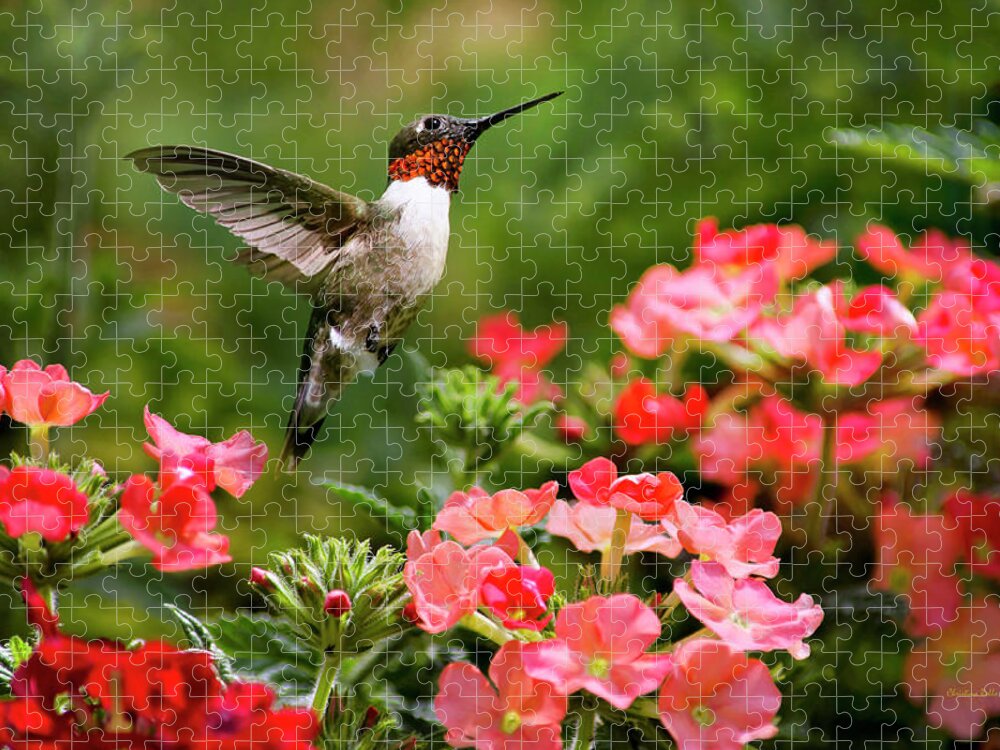 Hummingbird Jigsaw Puzzle featuring the photograph Graceful Garden Jewel by Christina Rollo