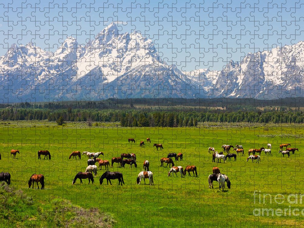 Usa Jigsaw Puzzle featuring the photograph Grand Teton National Park by Andrew Zarivny