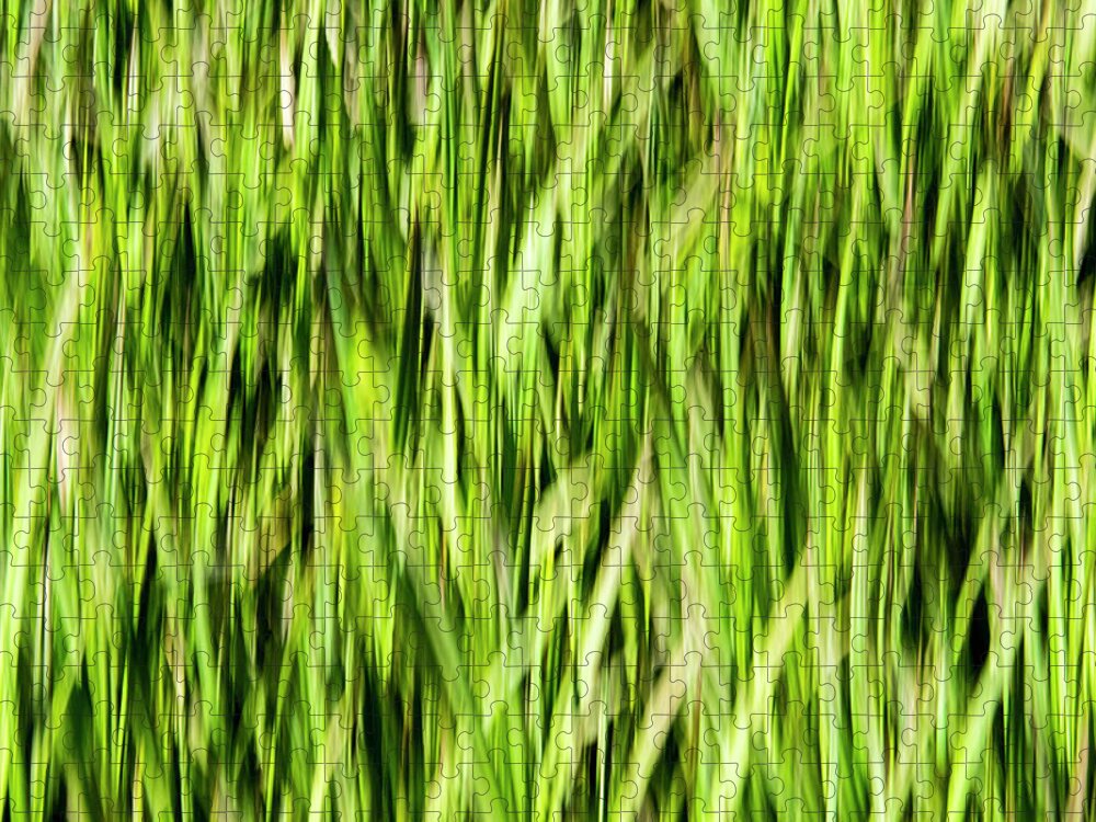 Grass Jigsaw Puzzle featuring the photograph Grass Pattern 1 by Kathy Paynter