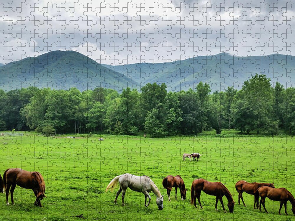 Clouds Jigsaw Puzzle featuring the photograph Grazing by Joe Leone