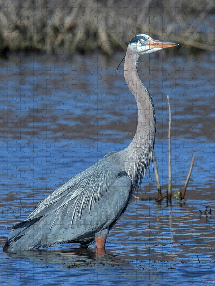 Nature Jigsaw Puzzle featuring the photograph Great Blue Heron DMSB0150 by Gerry Gantt