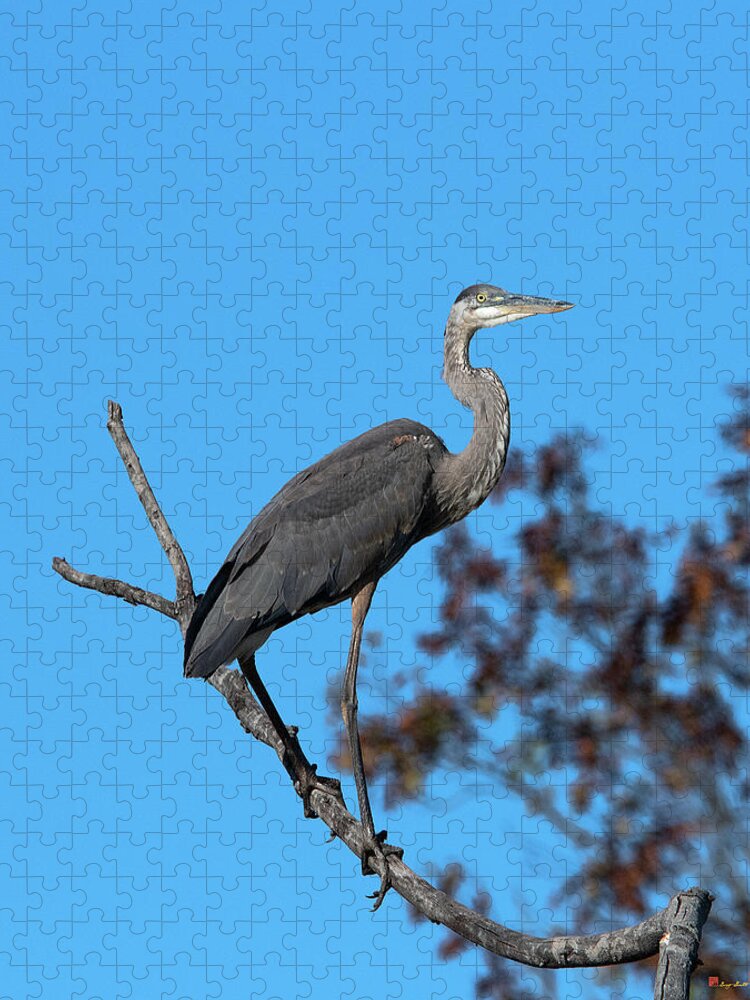 Nature Jigsaw Puzzle featuring the photograph Great Blue Heron in a Tree DMSB0210 by Gerry Gantt